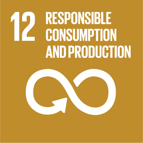 UN Sustainable Development Goal 12 — Responsible Consumption and Production